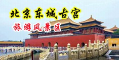 欧美淫荡女在线观看中国北京-东城古宫旅游风景区